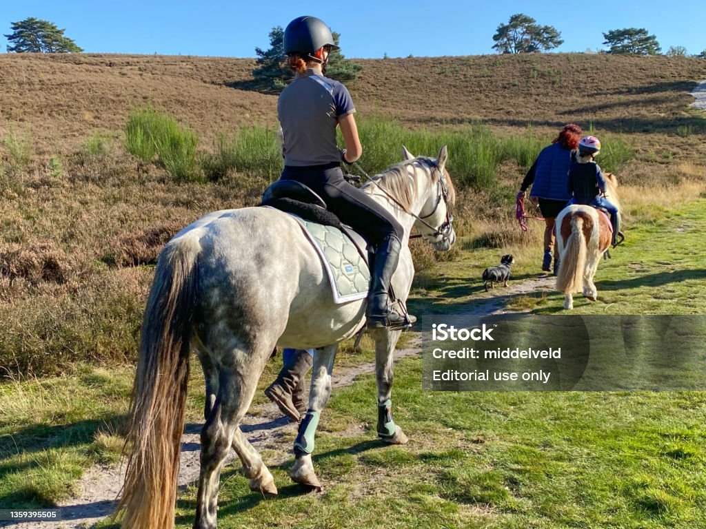 Hiking with horses Eje Cafetero