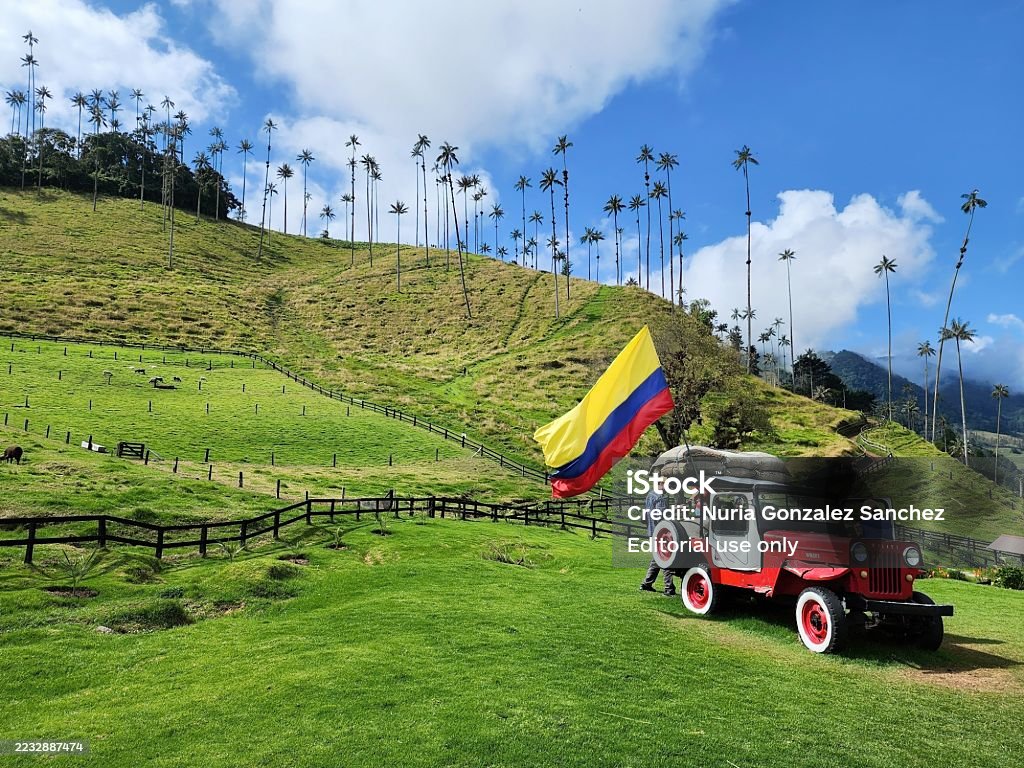 Car in the middle of Cocora Valley